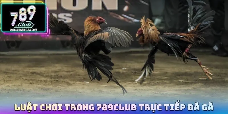 Luật chơi trong 789CLUB trực tiếp đá gà 