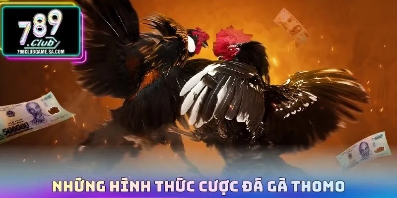 Những hình thức cược Đá gà thomo 